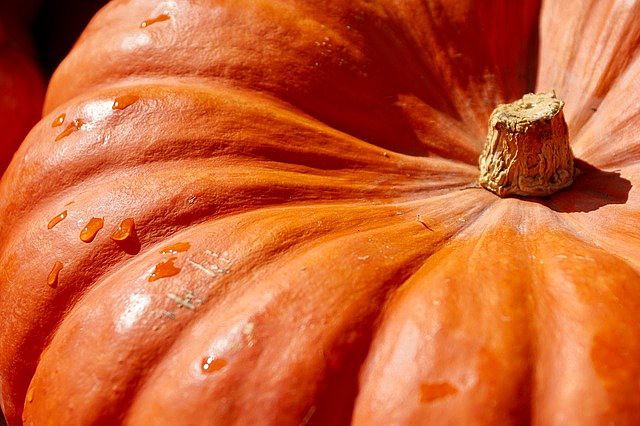pumpkin - pixabay.jpg